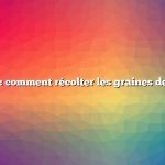 Question : comment récolter les graines de légumes